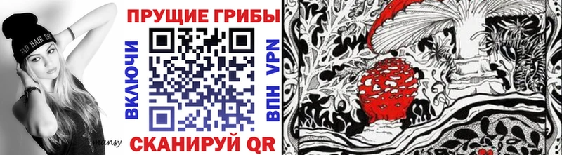 Галлюциногенные грибы Cubensis  Хилок 